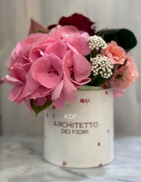 ROSA IN BOX ADF PICCOLA