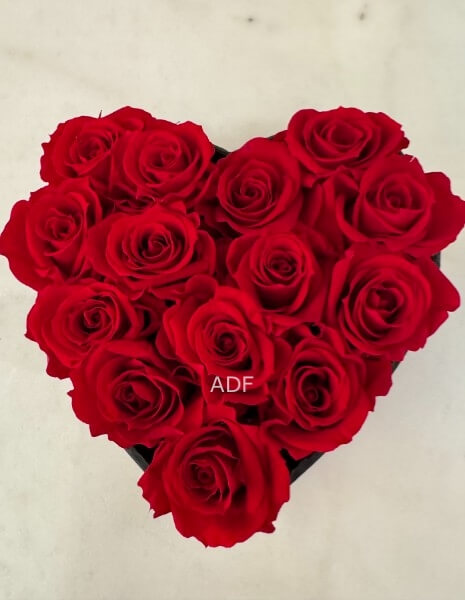 CUORE ROSE ROOSE STABILIZZATE