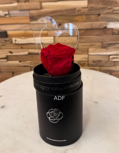 ROSA STABILIZZATA CON CUORE PLEX