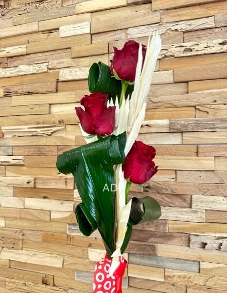 3 ROSSE ROSSE IN CONFEZIONE ADF