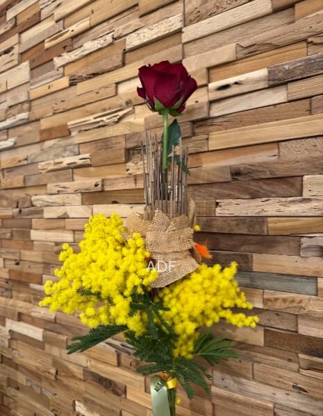 Rosa rossa con mimosa ADF